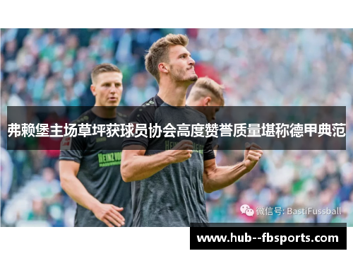 弗赖堡主场草坪获球员协会高度赞誉质量堪称德甲典范